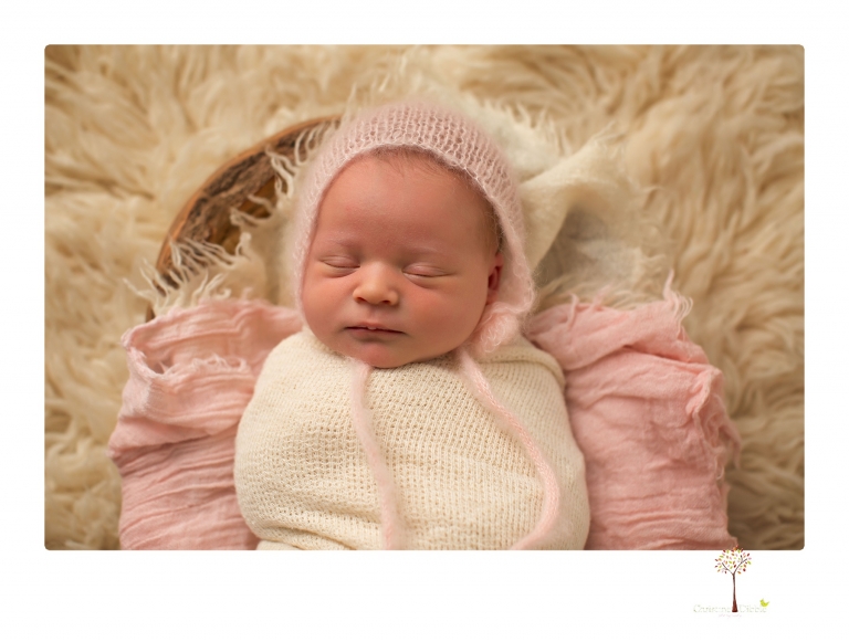 Best Sonora newborn photographer Christine Dibble Photography takes studio newborn portraits of a baby girl at eight days old with headbands, flowers and pink touches in the props.