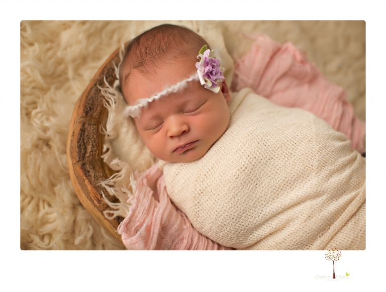 Best Sonora newborn photographer Christine Dibble Photography takes studio newborn portraits of a baby girl at eight days old with headbands, flowers and pink touches in the props.