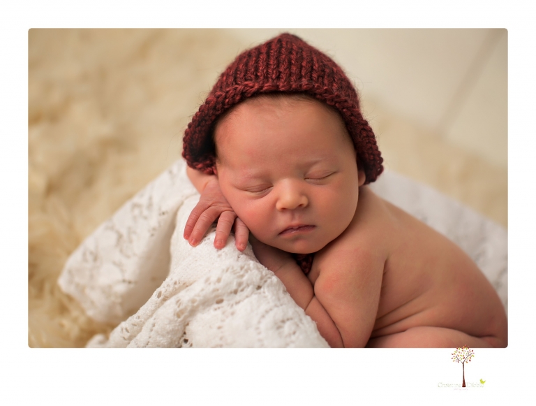 Best Sonora newborn photographer Christine Dibble Photography takes studio newborn portraits of a baby girl at eight days old with headbands, flowers and pink touches in the props.