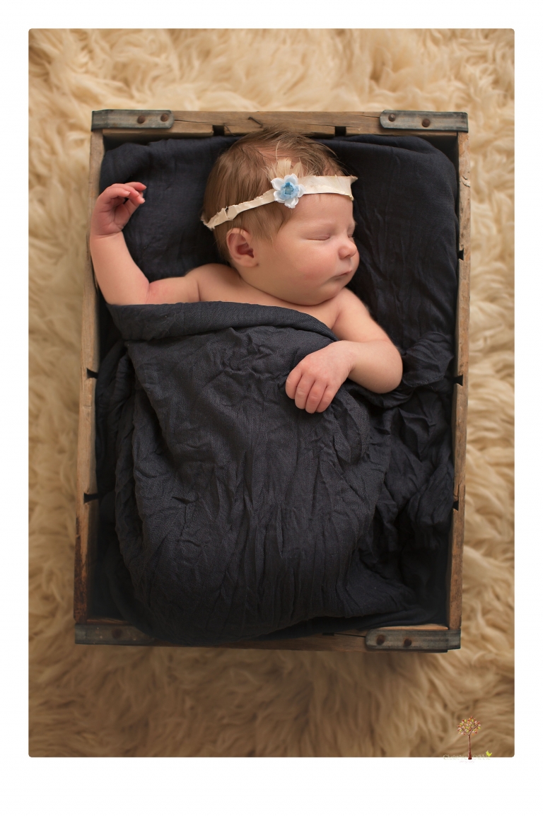 Sonora Newborn Photographer Christine Dibble Photography takes newborn studio portraits of babies and their parents and families with various vintage props.
