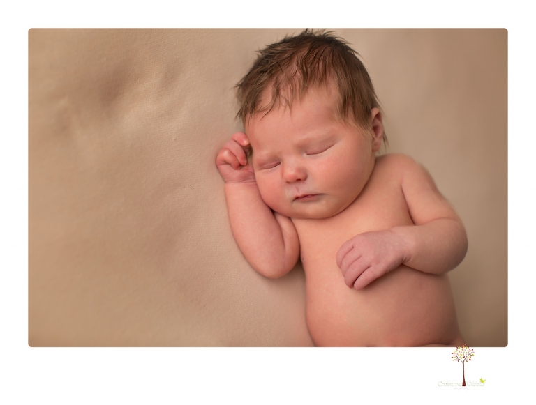 Sonora Newborn Photographer Christine Dibble Photography takes newborn studio portraits of babies and their parents and families with various vintage props.