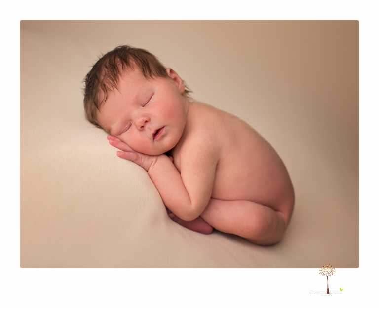 Sonora Newborn Photographer Christine Dibble Photography takes newborn studio portraits of babies and their parents and families with various vintage props.