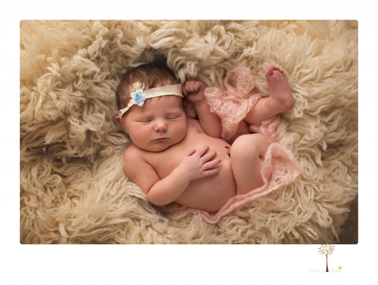 Sonora Newborn Photographer Christine Dibble Photography takes newborn studio portraits of babies and their parents and families with various vintage props.