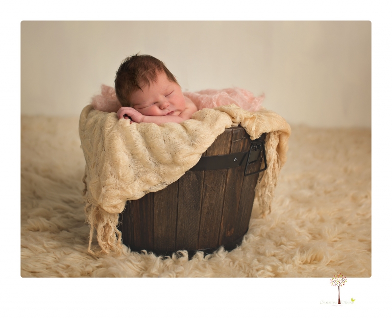 Sonora Newborn Photographer Christine Dibble Photography takes newborn studio portraits of babies and their parents and families with various vintage props.