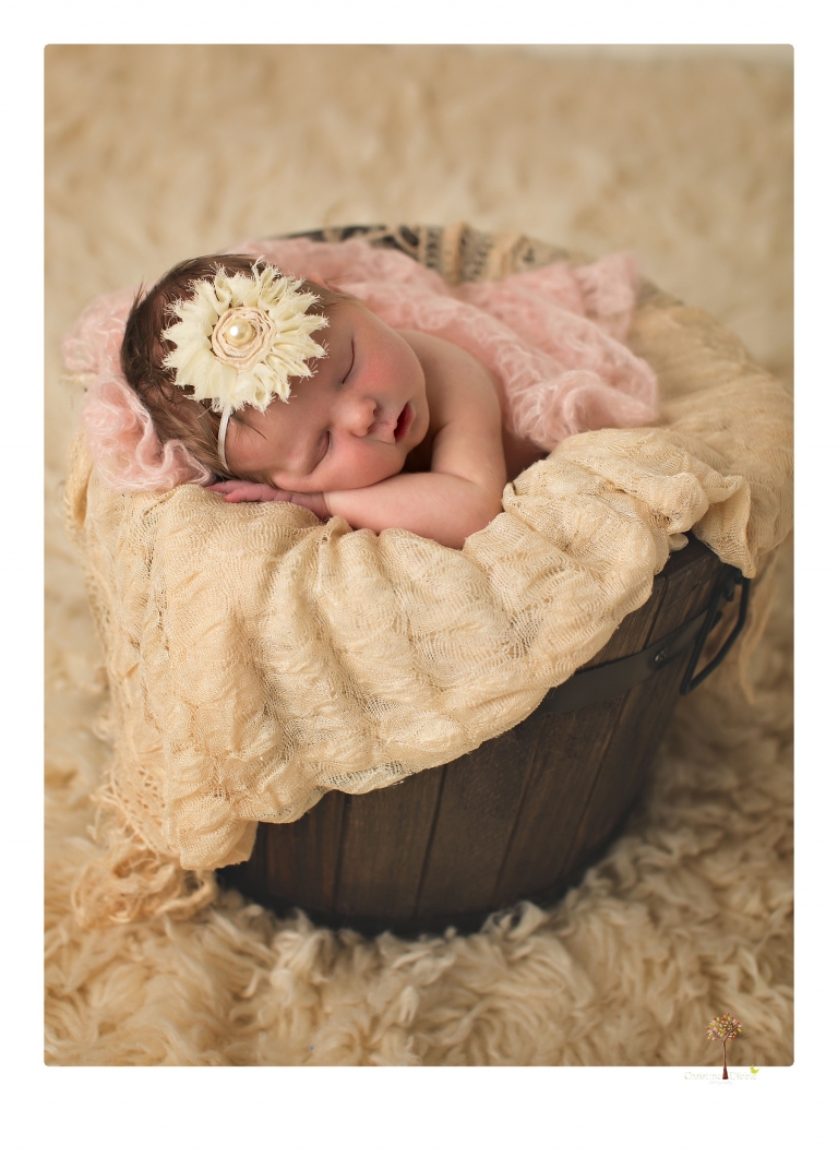 Sonora Newborn Photographer Christine Dibble Photography takes newborn studio portraits of babies and their parents and families with various vintage props.