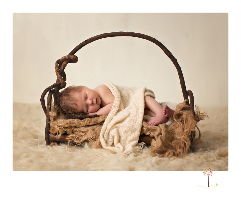 Sonora Newborn Photographer Christine Dibble Photography takes newborn studio portraits of babies and their parents and families with various vintage props.