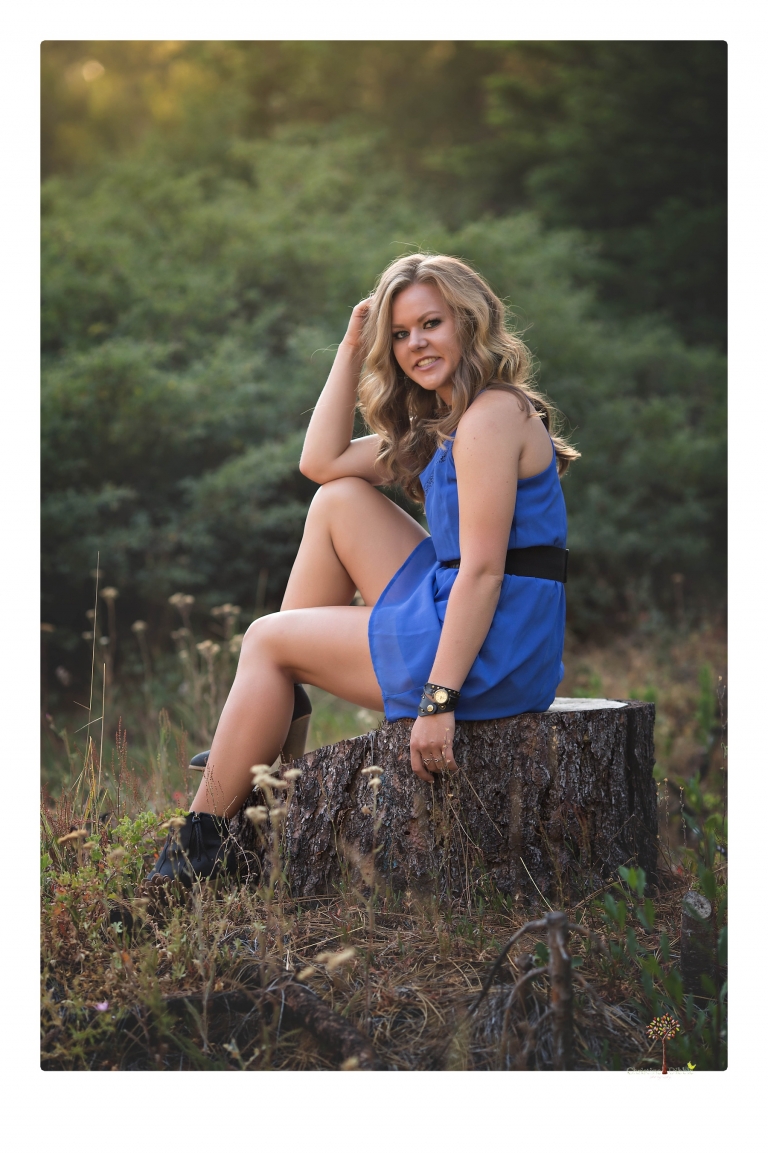Summerville High senior portrait photographer Christine Dibble Photography of Sonora takes senior portraits of a girl in a field of wildflowers with her violin.