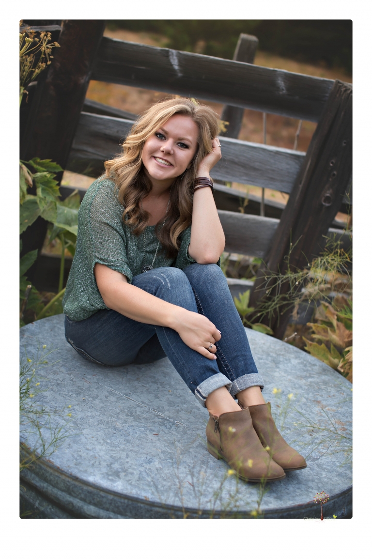 Summerville High senior portrait photographer Christine Dibble Photography of Sonora takes senior portraits of a girl in a field of wildflowers with her violin.