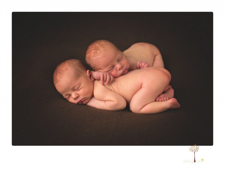 Best Sonora newborn photographer Christine Dibble Photography photographs newborn twins in a newborn portrait session in the studio with both babies posing alone and together.