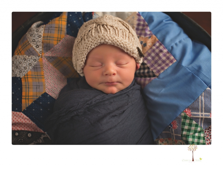 Best Sonora newborn photographer Christine Dibble Photography photographs newborn twins in a newborn portrait session in the studio with both babies posing alone and together.
