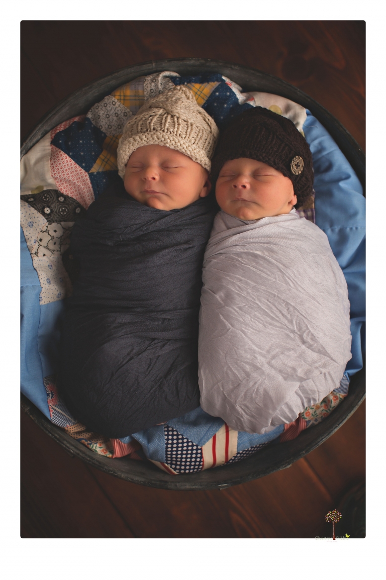 Best Sonora newborn photographer Christine Dibble Photography photographs newborn twins in a newborn portrait session in the studio with both babies posing alone and together.