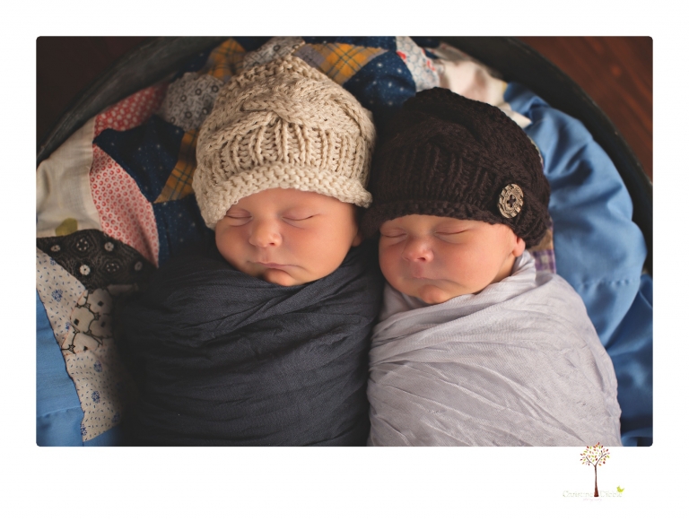 Best Sonora newborn photographer Christine Dibble Photography photographs newborn twins in a newborn portrait session in the studio with both babies posing alone and together.