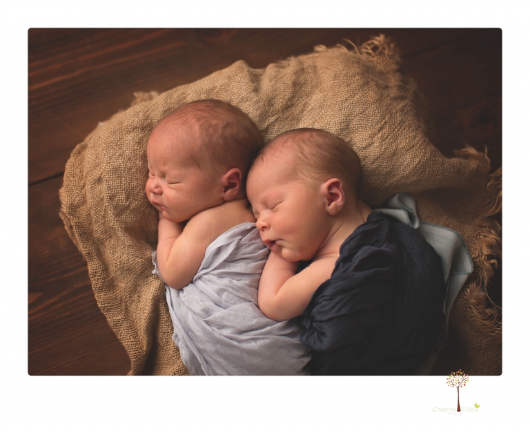Best Sonora newborn photographer Christine Dibble Photography photographs newborn twins in a newborn portrait session in the studio with both babies posing alone and together.