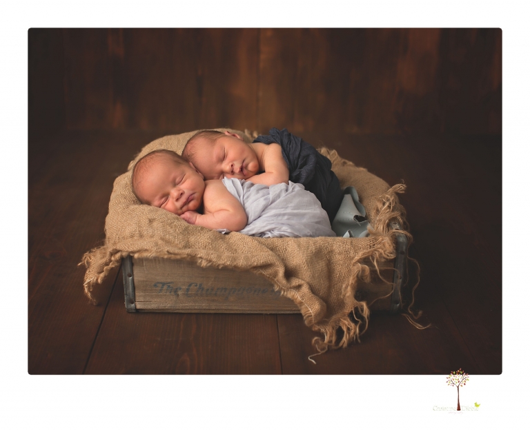 Best Sonora newborn photographer Christine Dibble Photography photographs newborn twins in a newborn portrait session in the studio with both babies posing alone and together.