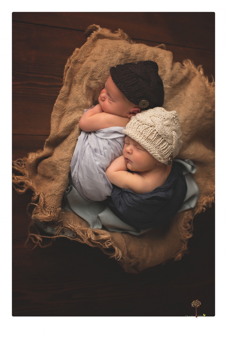 Best Sonora newborn photographer Christine Dibble Photography photographs newborn twins in a newborn portrait session in the studio with both babies posing alone and together.