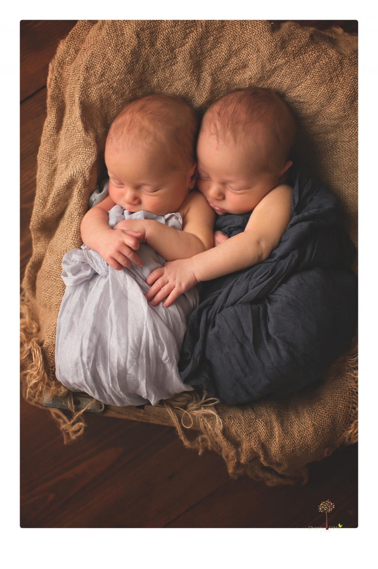 Best Sonora newborn photographer Christine Dibble Photography photographs newborn twins in a newborn portrait session in the studio with both babies posing alone and together.