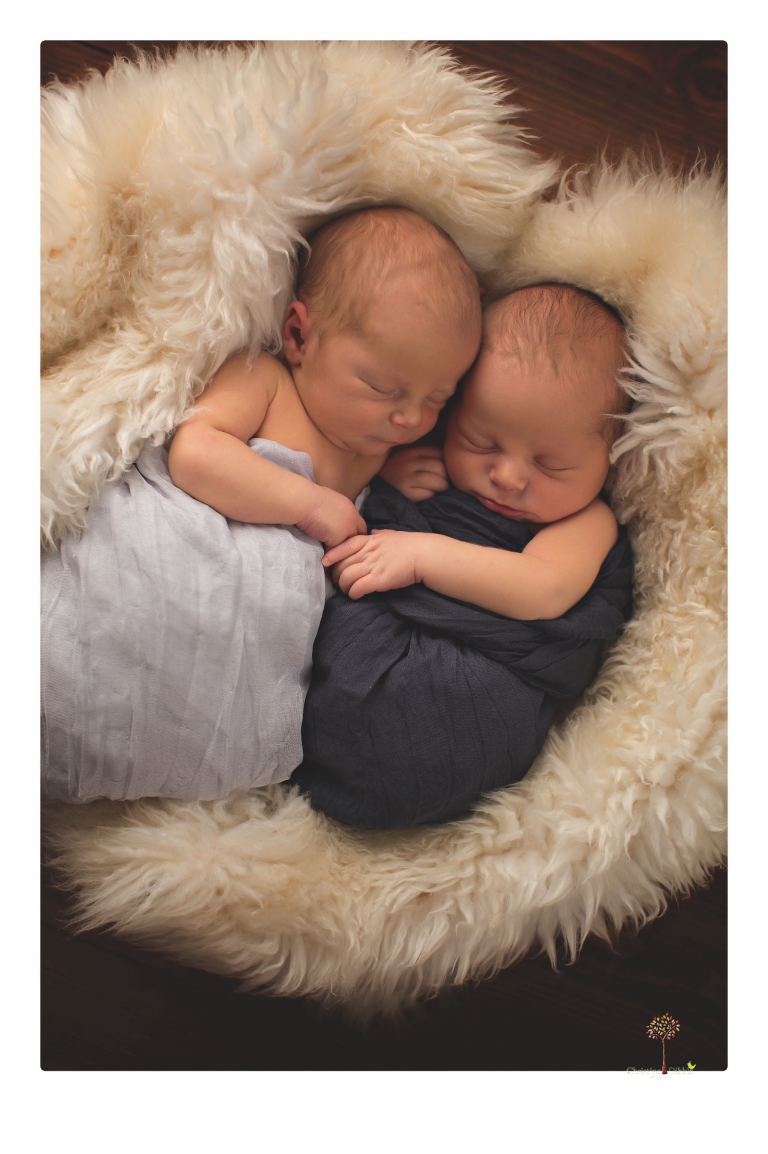 Best Sonora newborn photographer Christine Dibble Photography photographs newborn twins in a newborn portrait session in the studio with both babies posing alone and together.
