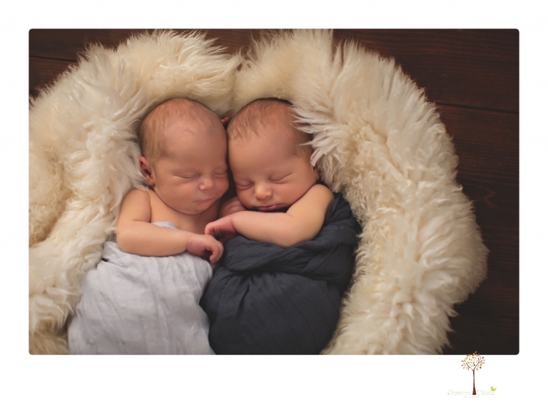 Best Sonora newborn photographer Christine Dibble Photography photographs newborn twins in a newborn portrait session in the studio with both babies posing alone and together.