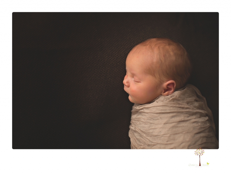 Best Sonora newborn photographer Christine Dibble Photography photographs newborn twins in a newborn portrait session in the studio with both babies posing alone and together.