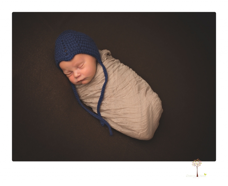 Best Sonora newborn photographer Christine Dibble Photography photographs newborn twins in a newborn portrait session in the studio with both babies posing alone and together.