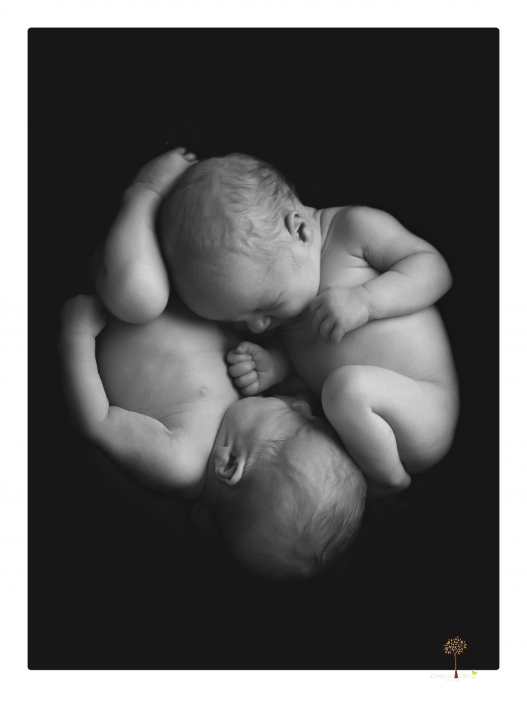 Best Sonora newborn photographer Christine Dibble Photography photographs newborn twins in a newborn portrait session in the studio with both babies posing alone and together.