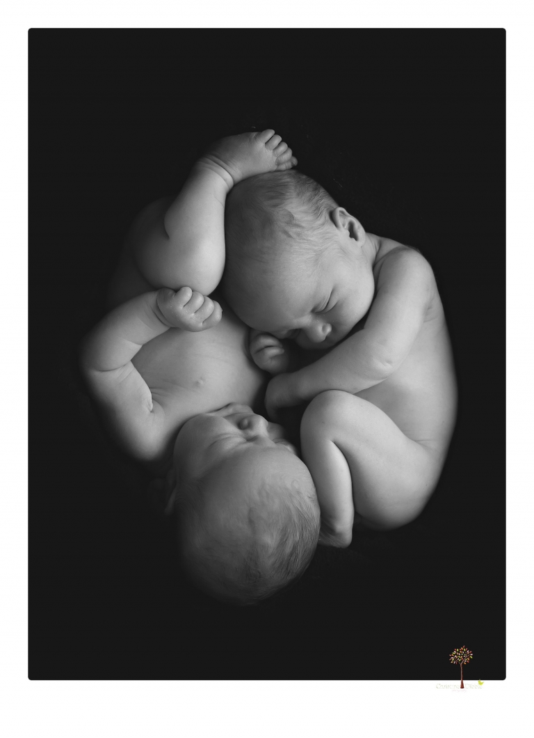 Best Sonora newborn photographer Christine Dibble Photography photographs newborn twins in a newborn portrait session in the studio with both babies posing alone and together.
