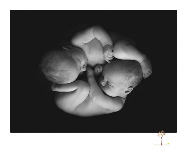 Best Sonora newborn photographer Christine Dibble Photography photographs newborn twins in a newborn portrait session in the studio with both babies posing alone and together.