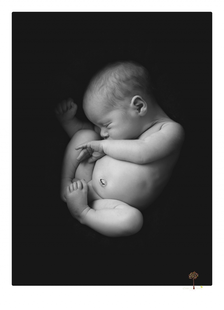 Best Sonora newborn photographer Christine Dibble Photography photographs newborn twins in a newborn portrait session in the studio with both babies posing alone and together.