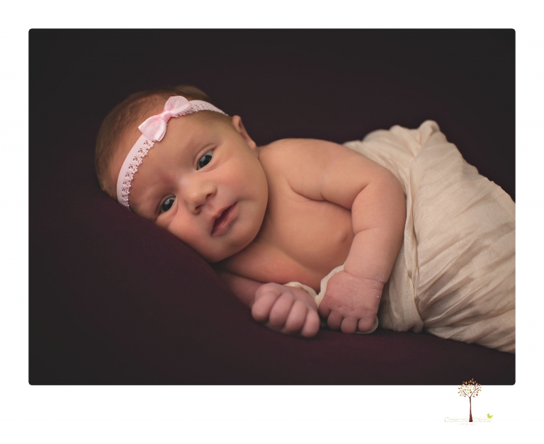 Best Sonora newborn photographer Christine Dibble Photography takes wide awake newborn studio portraits of a baby girl with her parents and in wraps.