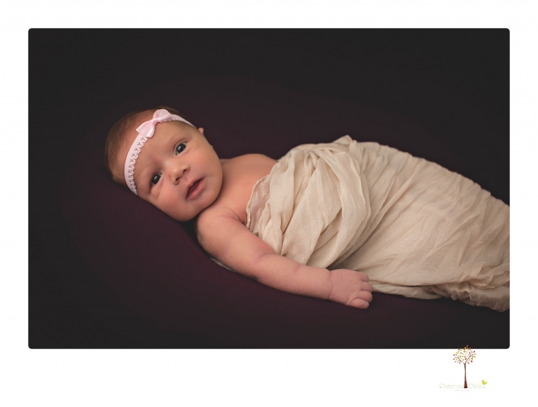 Best Sonora newborn photographer Christine Dibble Photography takes wide awake newborn studio portraits of a baby girl with her parents and in wraps.