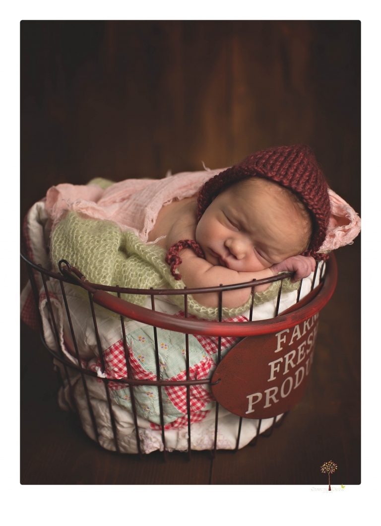 Best Sonora newborn photographer Christine Dibble Photography takes wide awake newborn studio portraits of a baby girl with her parents and in wraps.