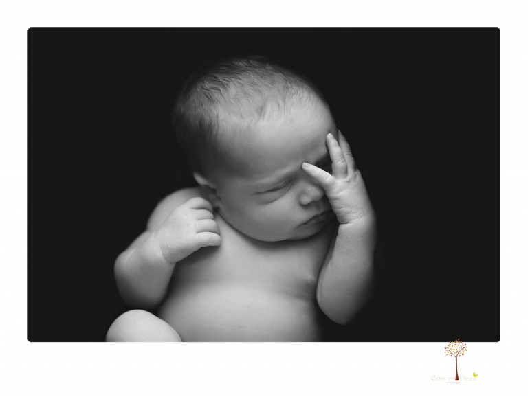 Best Sonora newborn photographer Christine Dibble Photography takes wide awake newborn studio portraits of a baby girl with her parents and in wraps.