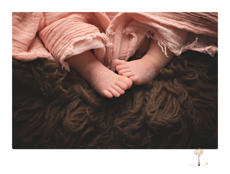 Best Sonora newborn photographer Christine Dibble Photography takes wide awake newborn studio portraits of a baby girl with her parents and in wraps.