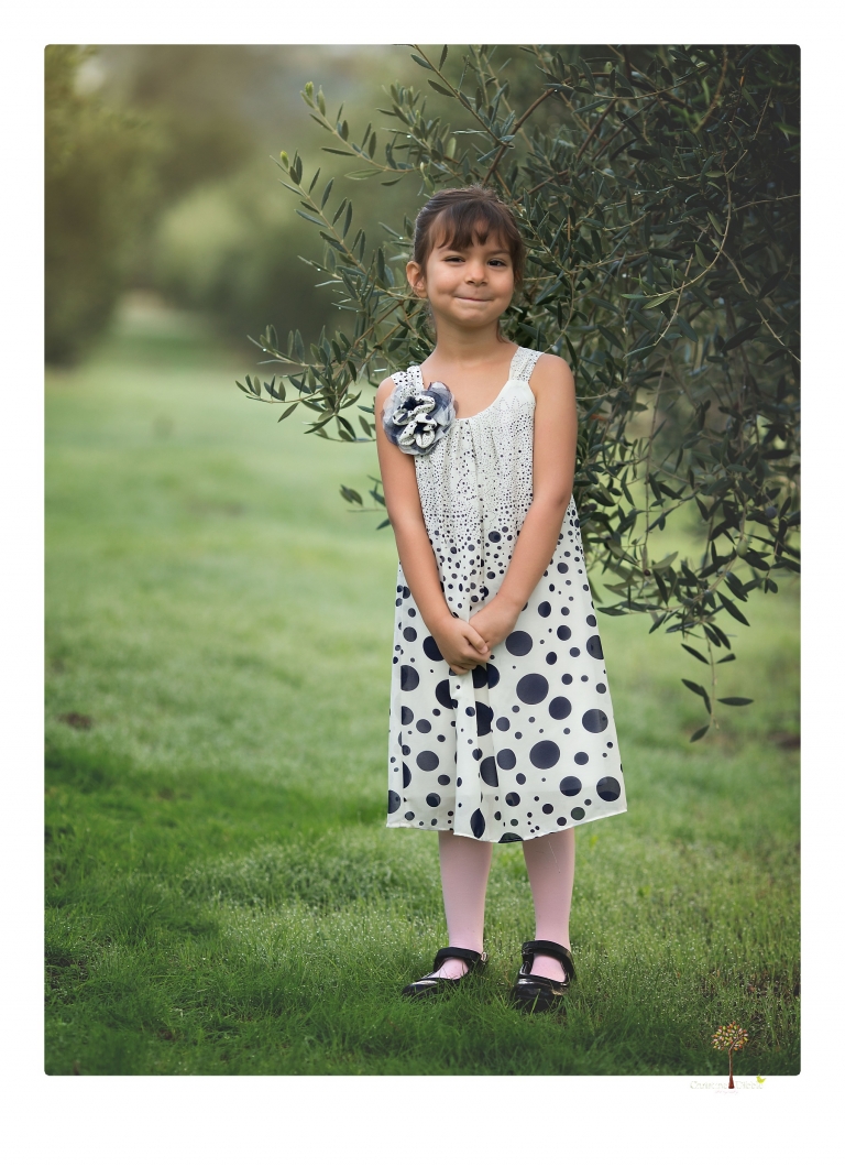 Sonora family portrait photographer Christine Dibble Photography takes Fall family portraits among the olive trees during a morning session at Hurst Ranch.