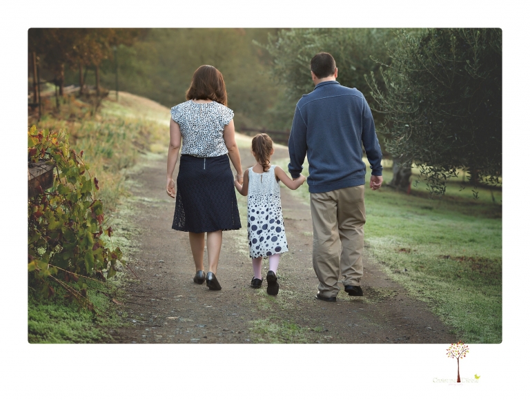 Sonora family portrait photographer Christine Dibble Photography takes Fall family portraits among the olive trees during a morning session at Hurst Ranch.