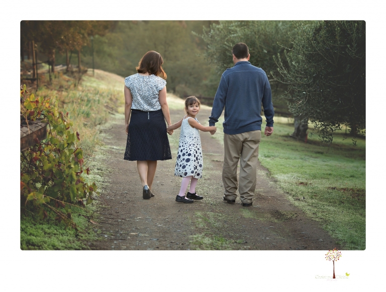 Sonora family portrait photographer Christine Dibble Photography takes Fall family portraits among the olive trees during a morning session at Hurst Ranch.