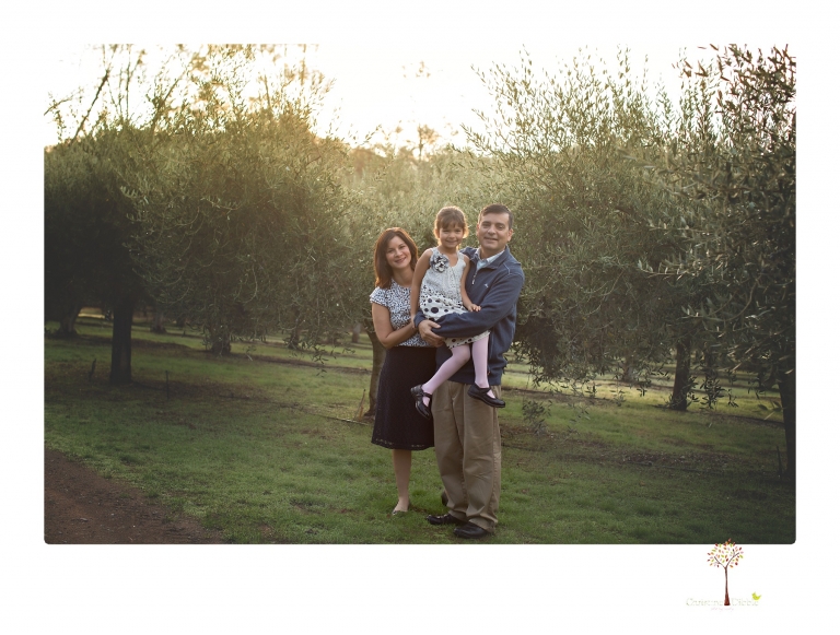 Sonora family portrait photographer Christine Dibble Photography takes Fall family portraits among the olive trees during a morning session at Hurst Ranch.