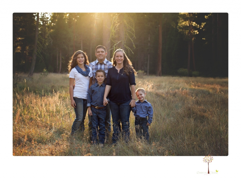 Sonora photographer Christine Dibble Photography takes family portraits at Pinecrest Lake in a golden lit field and on the beach.
