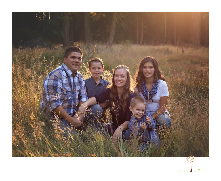 Sonora photographer Christine Dibble Photography takes family portraits at Pinecrest Lake in a golden lit field and on the beach.