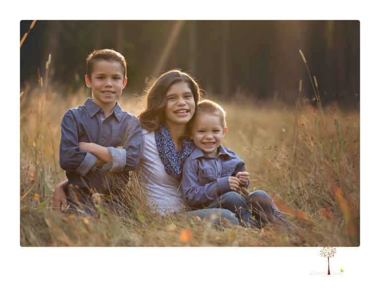 Sonora photographer Christine Dibble Photography takes family portraits at Pinecrest Lake in a golden lit field and on the beach.