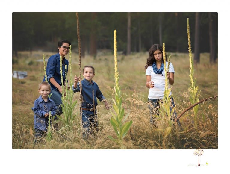 Sonora photographer Christine Dibble Photography takes family portraits at Pinecrest Lake in a golden lit field and on the beach.