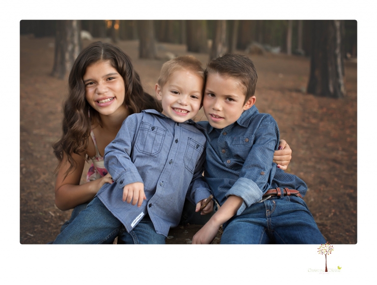 Sonora photographer Christine Dibble Photography takes family portraits at Pinecrest Lake in a golden lit field and on the beach.