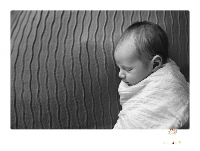 Best Sonora newborn photographer Christine Dibble Photography takes studio newborn portraits of a baby boy and his dog and the parents during a newborn portrait session.