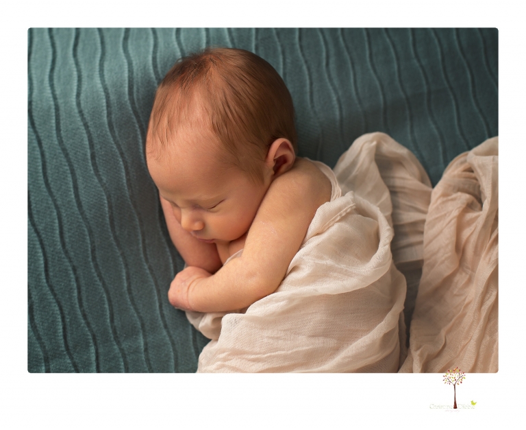 Best Sonora newborn photographer Christine Dibble Photography takes studio newborn portraits of a baby boy and his dog and the parents during a newborn portrait session.