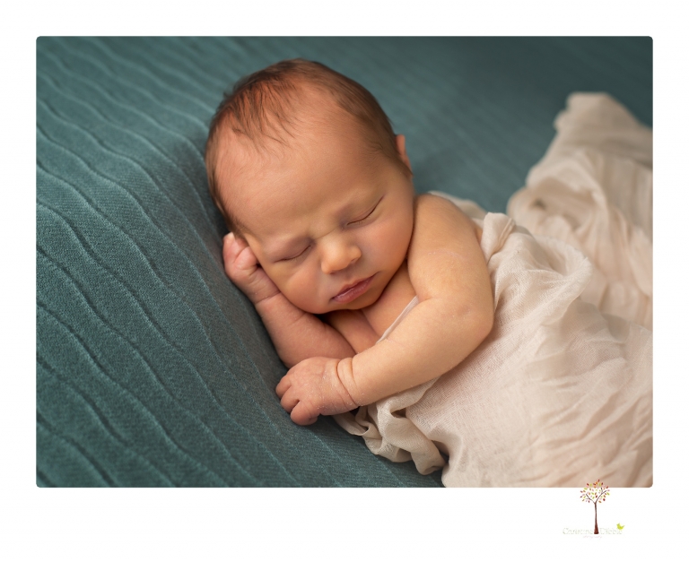 Best Sonora newborn photographer Christine Dibble Photography takes studio newborn portraits of a baby boy and his dog and the parents during a newborn portrait session.