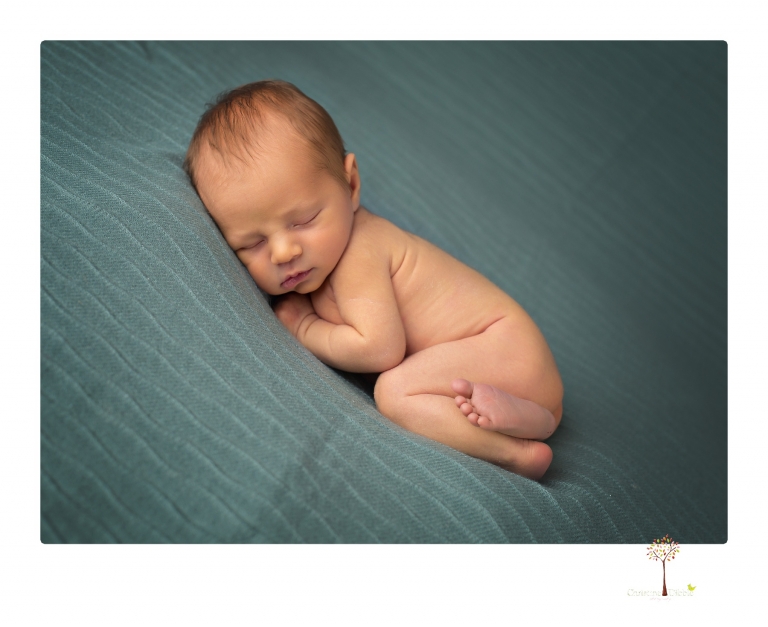 Best Sonora newborn photographer Christine Dibble Photography takes studio newborn portraits of a baby boy and his dog and the parents during a newborn portrait session.