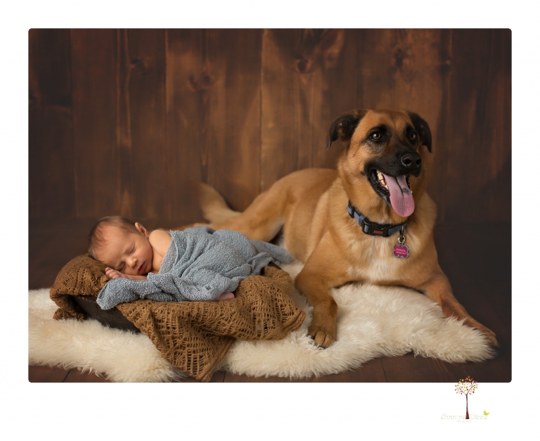 Best Sonora newborn photographer Christine Dibble Photography takes studio newborn portraits of a baby boy and his dog and the parents during a newborn portrait session.