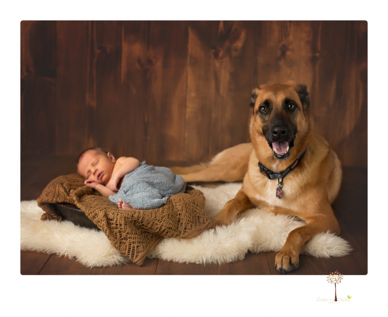 Best Sonora newborn photographer Christine Dibble Photography takes studio newborn portraits of a baby boy and his dog and the parents during a newborn portrait session.