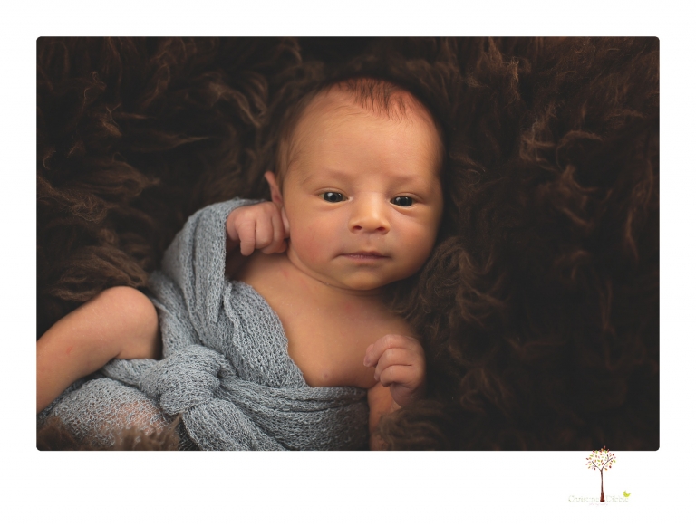Best Sonora newborn photographer Christine Dibble Photography takes studio newborn portraits of a baby boy and his dog and the parents during a newborn portrait session.