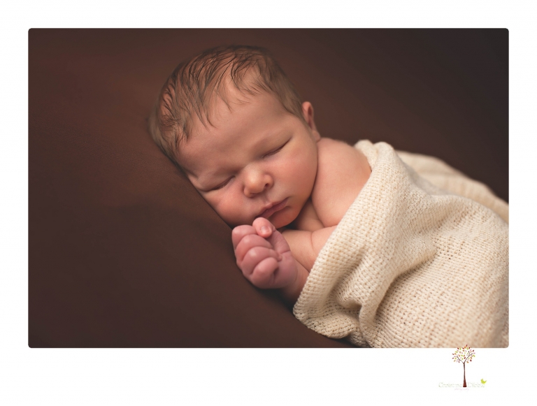 Best Sonora newborn photographer Christine Dibble Photography takes studio newborn portraits of a baby boy as he sleeps in wraps and buckets with a color scheme of blues and browns.